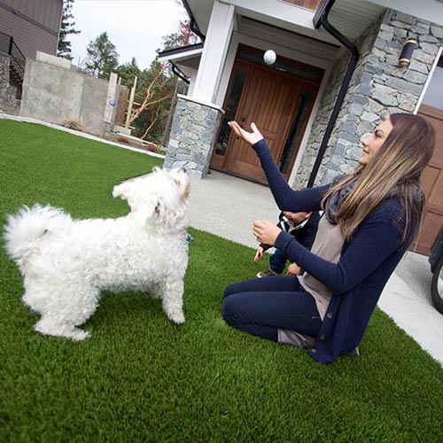 image of Pet friendly artificial grass for your furry friends available at SYNLawn Green Bay